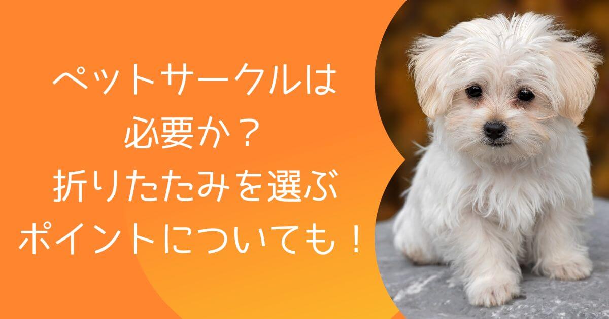 ペットサークルは必要か？折りたたみを選ぶポイントについても